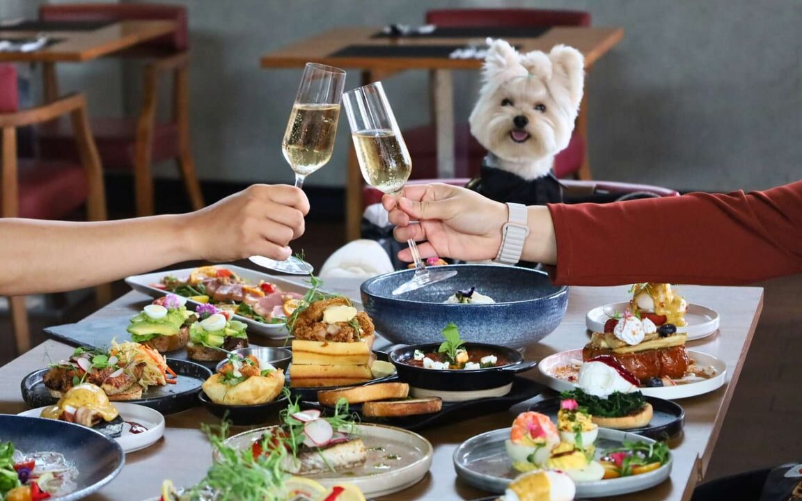 สัมผัสประสบการณ์บุฟเฟต์สุดเอ็กซ์คลูซีฟ กับ ซันเดย์บรันช์ แอนด์ บาร์ก พร้อมเพื่อนคู่ซี้สี่ขา โรงแรม อลอฟท์ กรุงเทพ สุขุมวิท 11