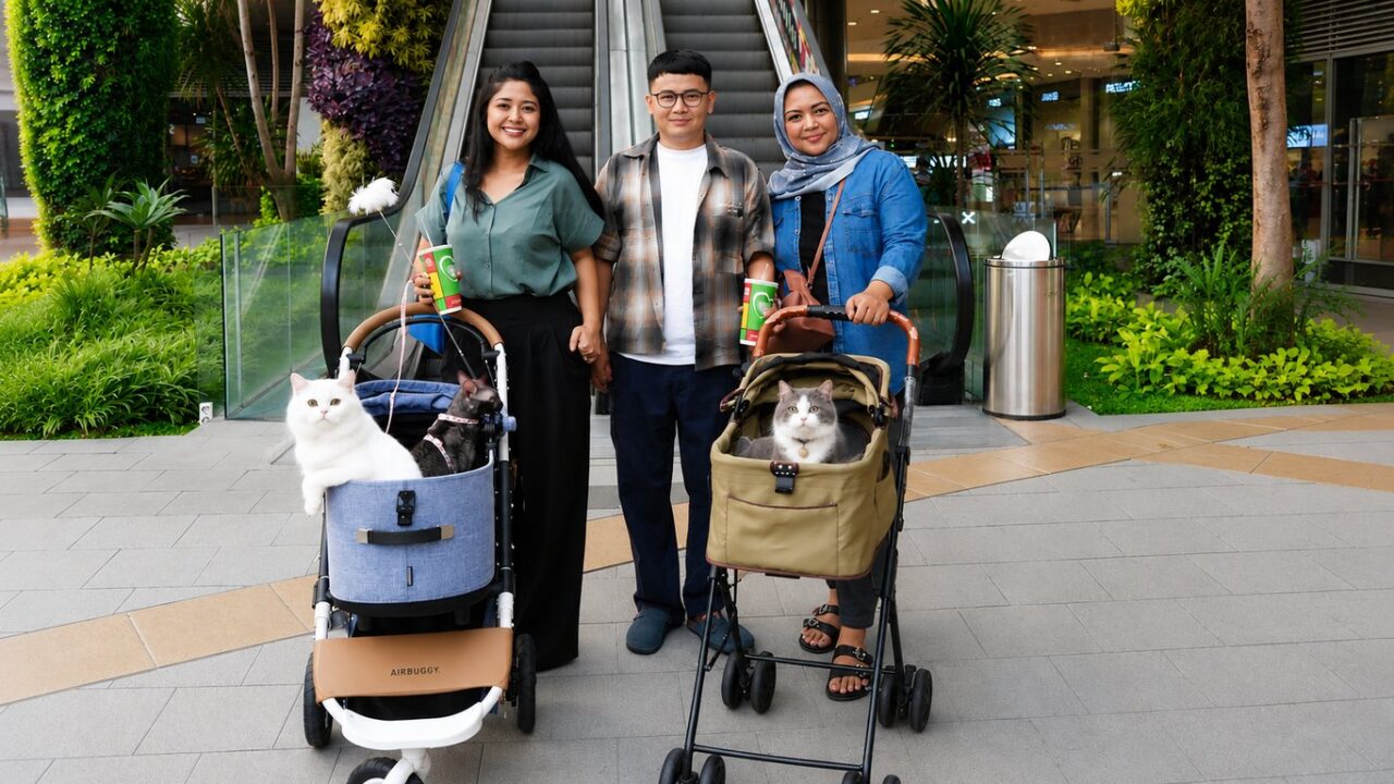 Main Bareng Anabul Di Grand Galaxy Park yang Cat Friendly