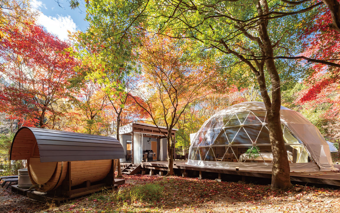 2026 Japan Autumn Travel Trends: From Chasing Autumn Foliage to Staying in Nature