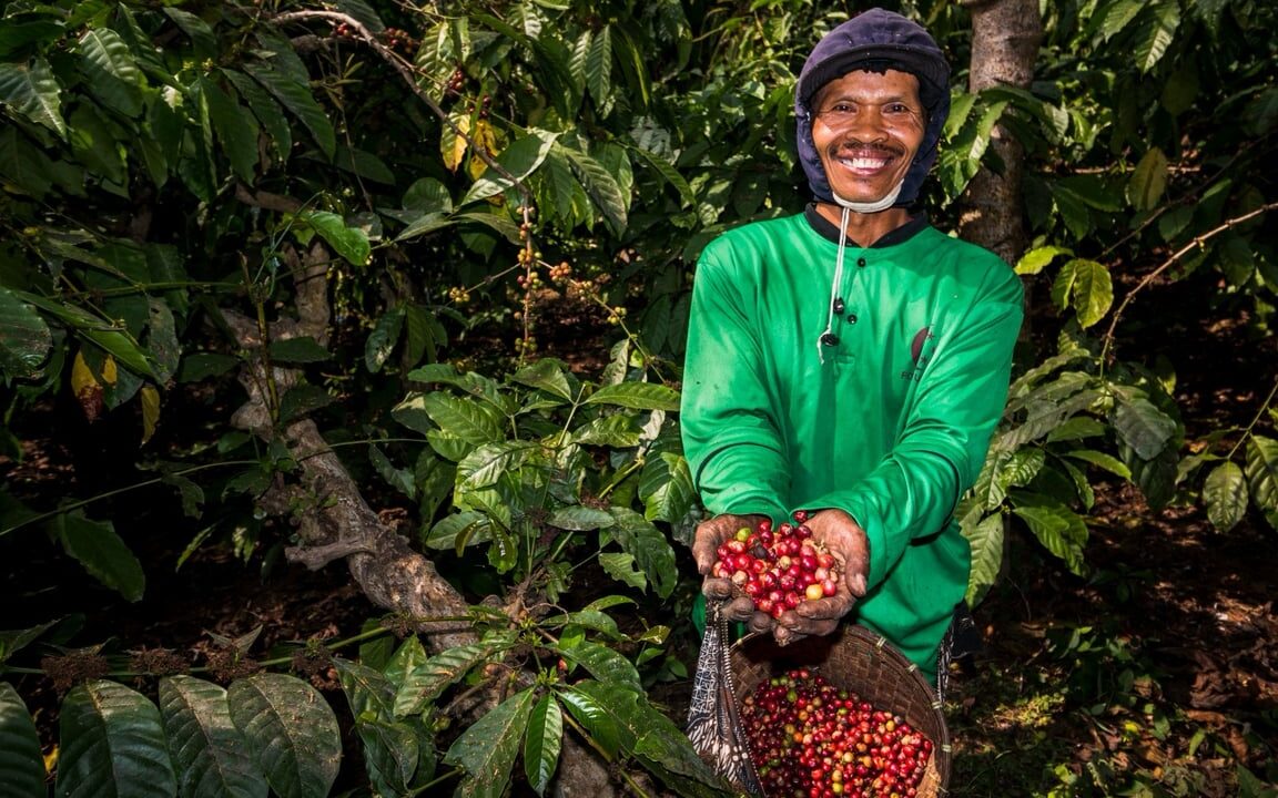 Kebun Kopi Ijen, Warisan yang Terus Menghidupi