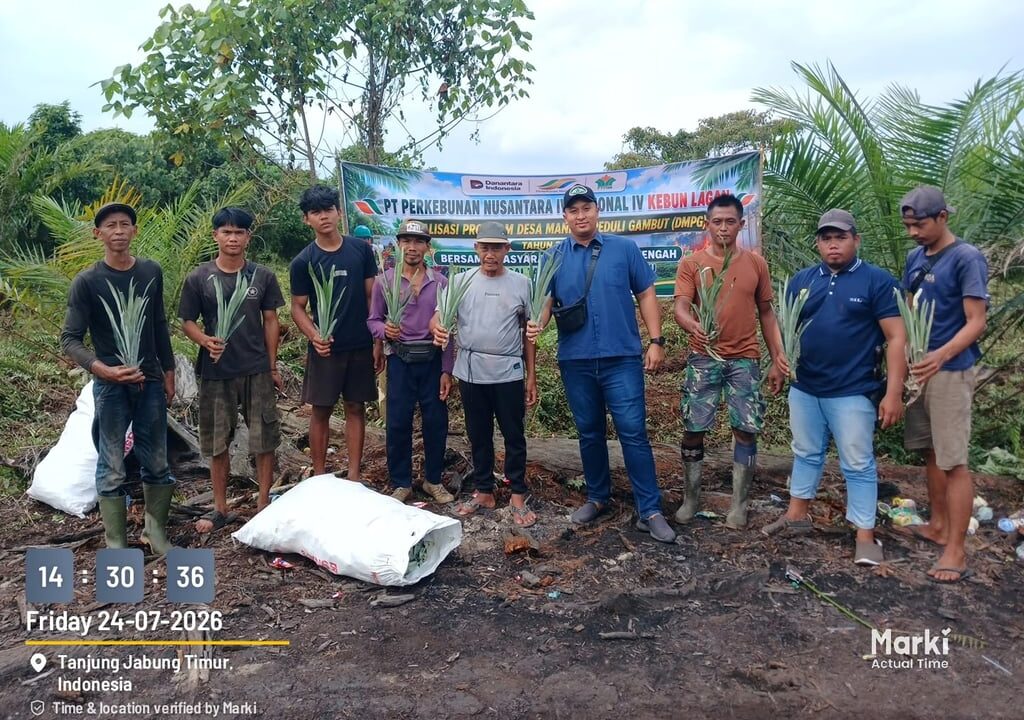 Tingkatkan Pendapatan Warga, PTPN IV PalmCo, Subholding PTPN III (Persero) Salurkan Ribuan Bibit Nanas untuk Dua Desa di Jambi
