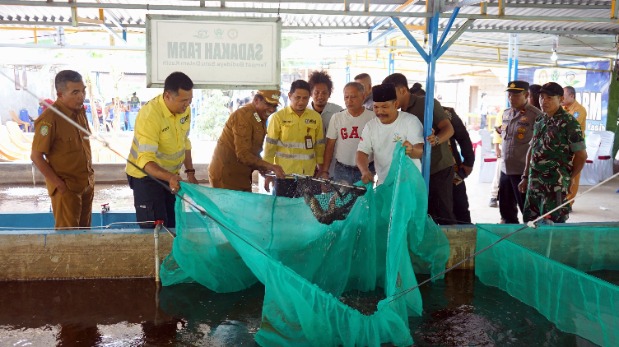 Sinergi Pemda Halmahera Utara dan NHM Peduli: Dorong Kemandirian Pangan Melalui Sukses Budidaya Bioflok BUMDes Sadaka Farm