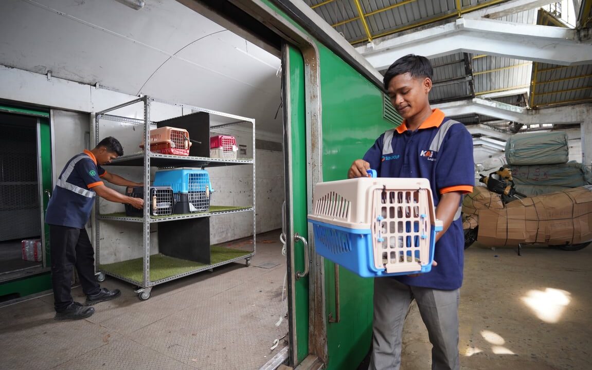 KAI Logistik Layani Lebih dari 138 Ribu Pengiriman Hewan Peliharaan hingga Triwulan III 2026, Tumbuh 19%